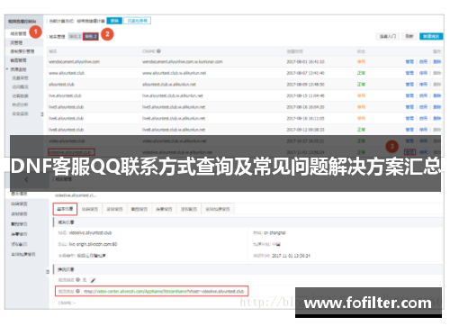 DNF客服QQ联系方式查询及常见问题解决方案汇总
